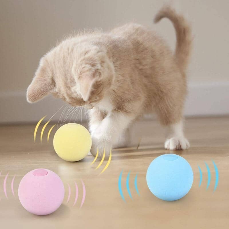 Bolinhas Para Pets - Pet Fun