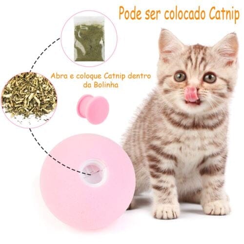 Bolinhas Para Pets - Pet Fun